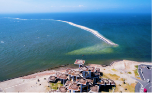 プロモーション動画